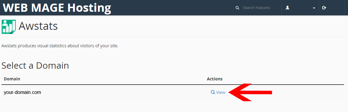 Web Mage control panel - Awstats